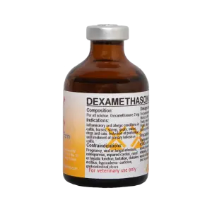 Dexamethason A - 50 ml
