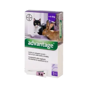 Advantage Large Cats & Rabbits 1 kom — 80 mg