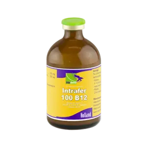 Intrafer-100 B12 - 100 ml