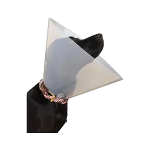 FioniaVet Elizabethan Collar - 10 cm 10 kom