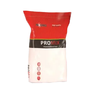 Inberg Kostvit - 2 kg