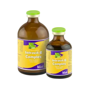 Introvit B Complex - 100 ml