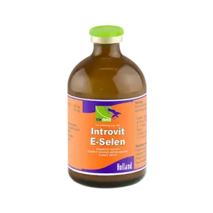 Introvit E Selen - 100 ml