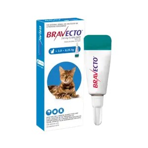Bravecto Cat — 250 mg