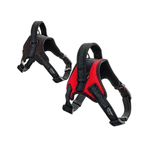 419,81 Am - pojas Pet Expert 64-83cm / 21-35kg